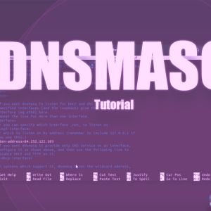 DNSMASQ – Eigenen DNS Server auf Ubuntu installieren